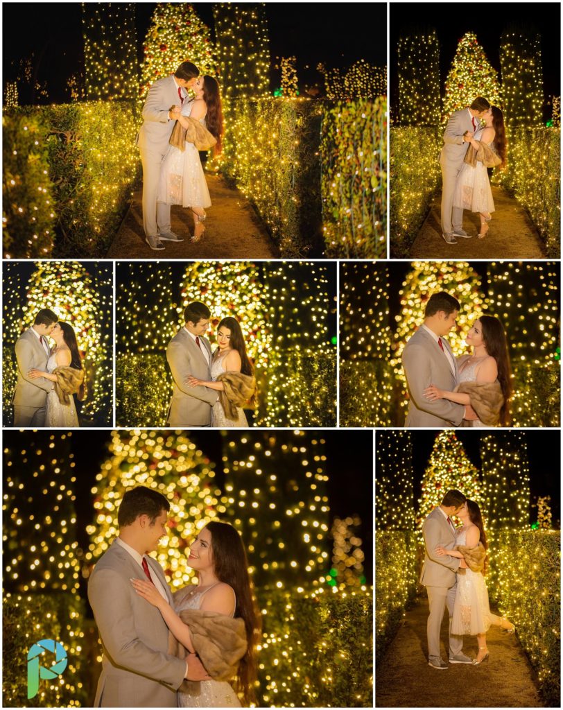 Engaged couple posing in front of christmas trees and light display at Filoli in the San Francisco Bay Area.