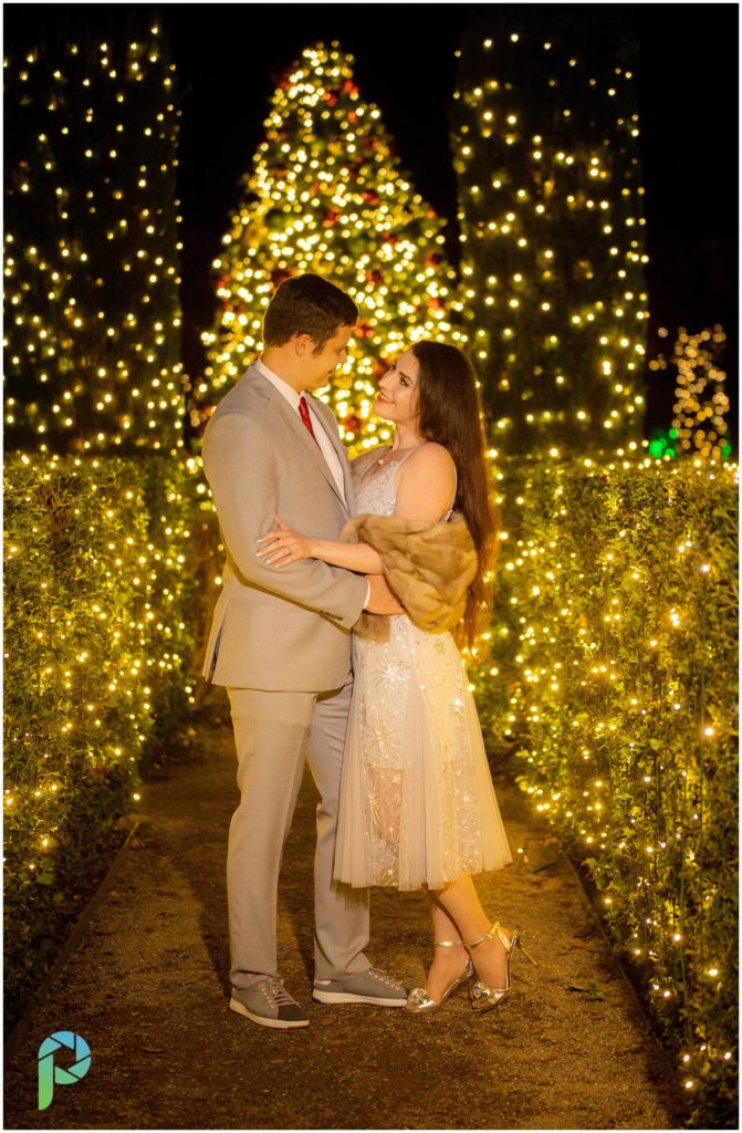 Couple looking at each other with affection for engagement photos in front of a Christmas tree at Filoli in the San Francisco Bay Area at their holiday display.